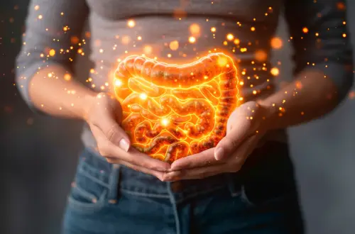 Gut Reset
