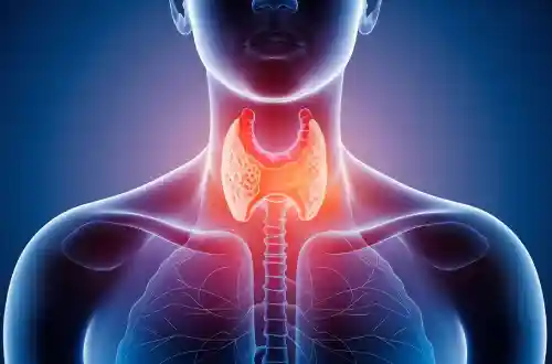 Thyroid